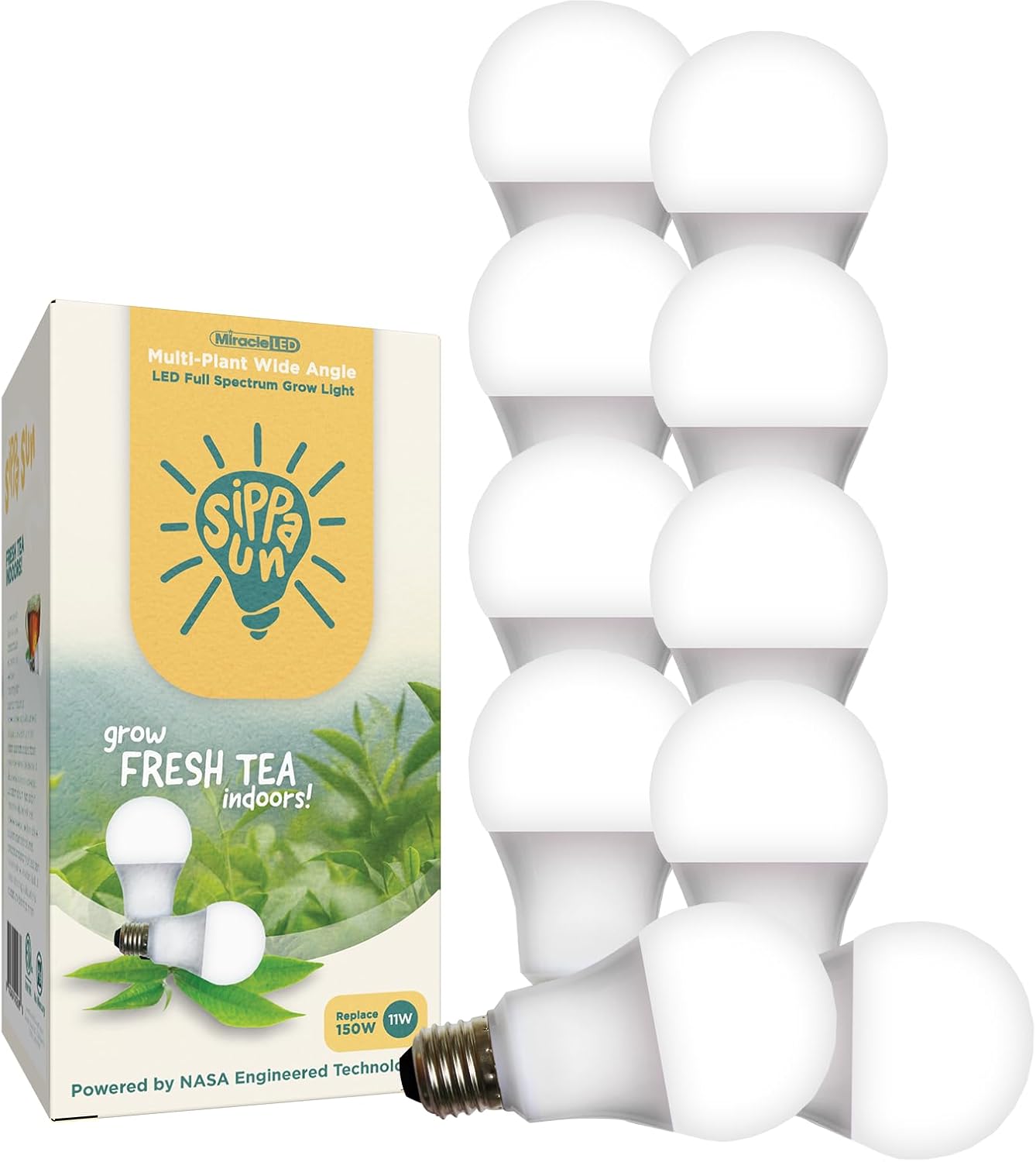 Miracle LED Sippa Sun Indoor Tea Grow Light Bulb – Multi-Plant Full Spectrum Replace 150W Grow Bulbs for Home Grown Green, Black, Oolong Tea (10-Pack)
