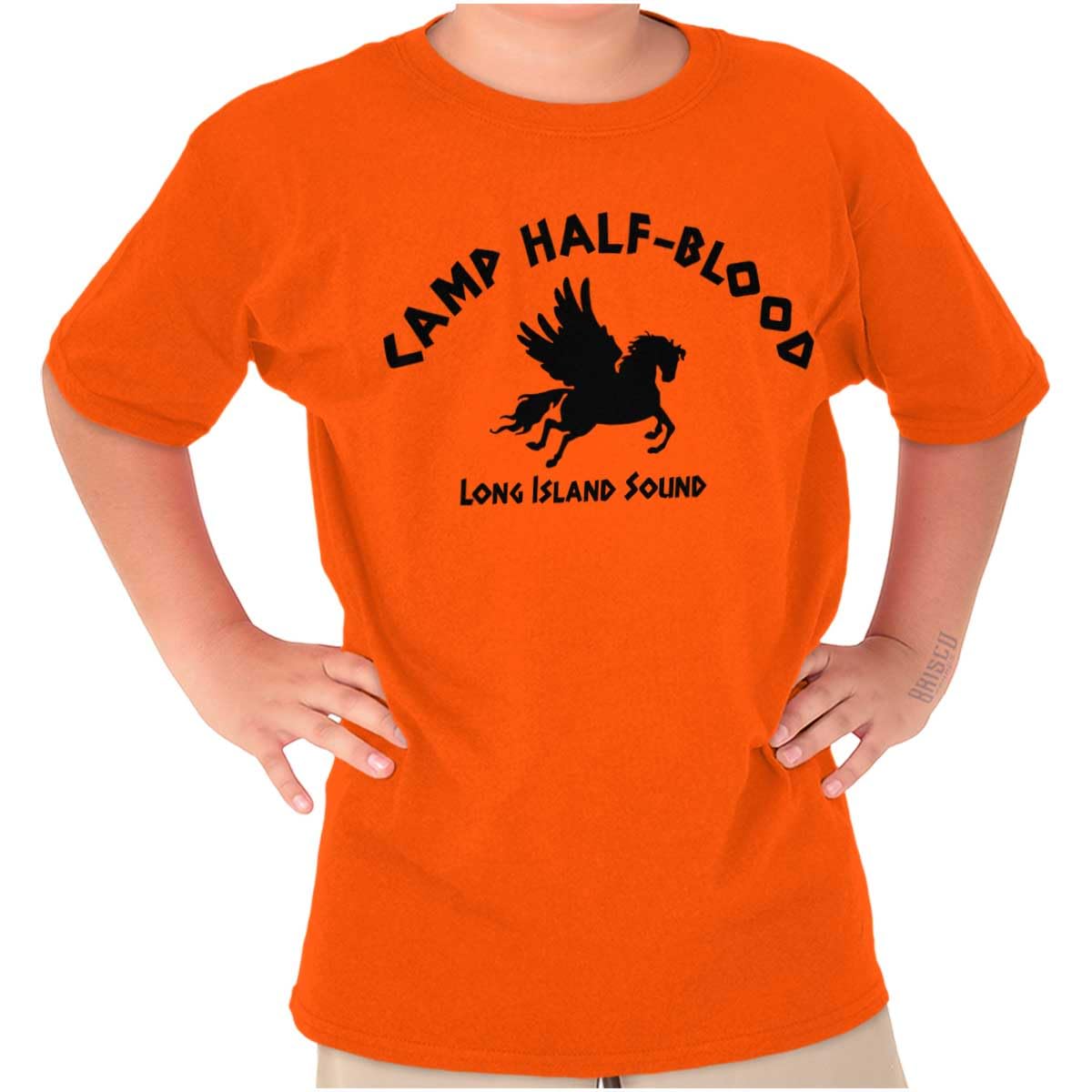 Camp Half Blood Greek Mythology Crewneck T Shirts-picture-52
