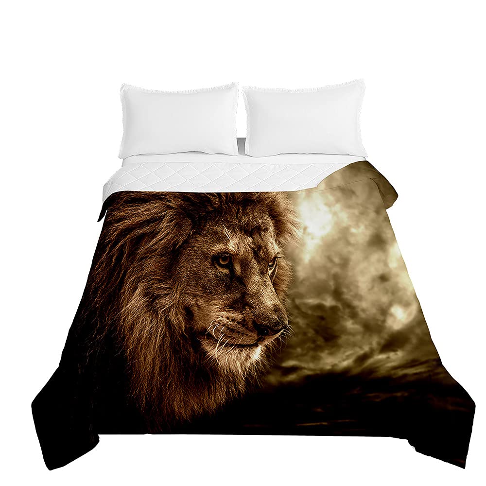 Chickwin Trapuntino Copriletto Matrimoniale Singolo, 3D