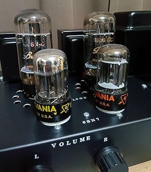 Amazon.co.jp: 自作 6L6GCシングル真空管アンプ : 家電＆カメラ