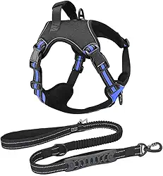 Coleira Peitoral Antipuxão Cachorro Power MADOG + Guia Elástica com Cinto de Segurança (Azul, XG)