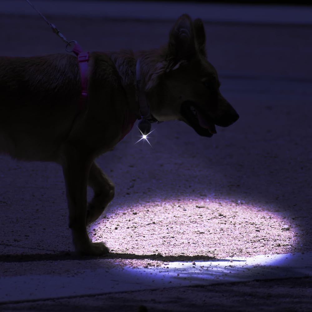 Confezione da 100 mini torce a LED ultra luminose, piccole torce portachiavi, luce LED per attività all'aperto, luce di emergenza, guscio nero