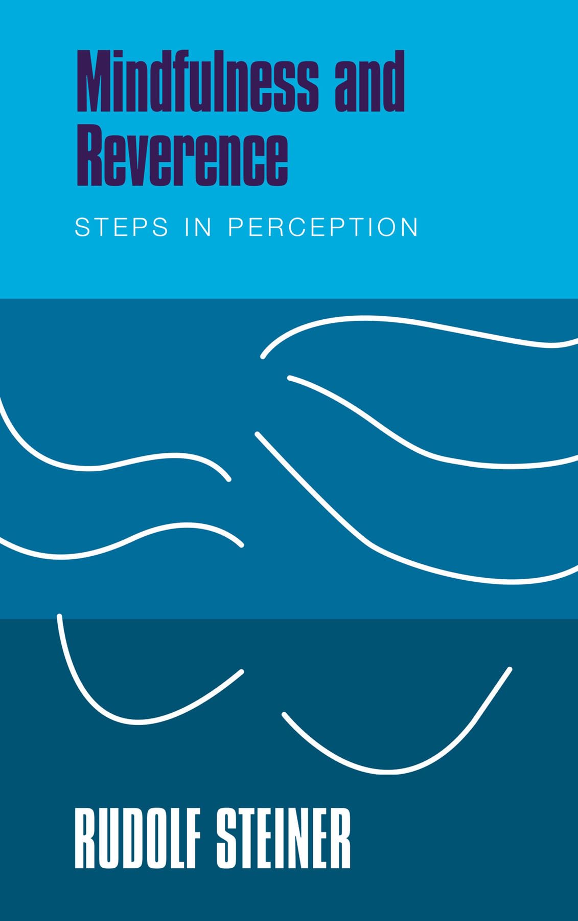 Mindfulness and Reverence Steps in Perception by Rudolf Steiner (Paperback Book)