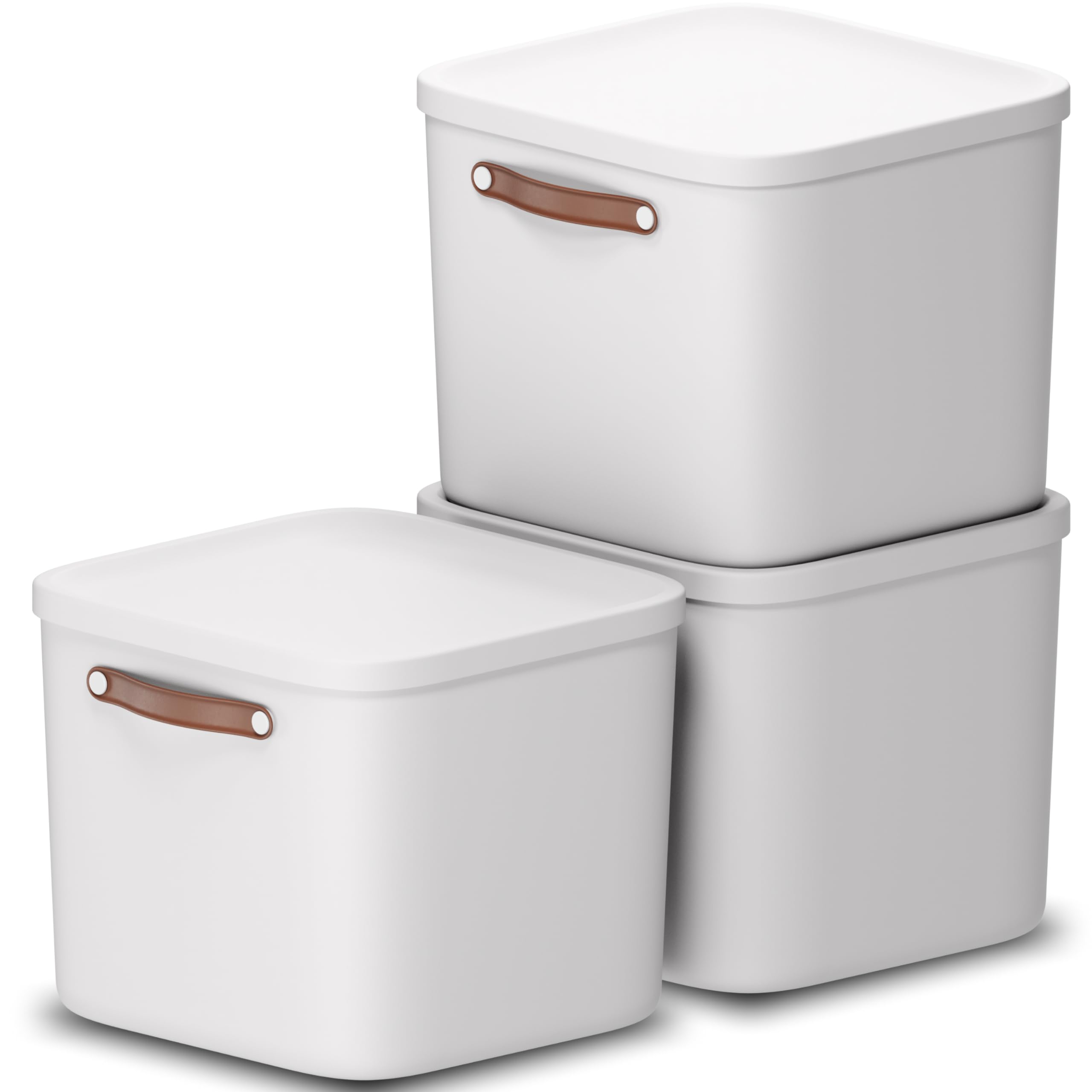 Rotho Maloja Storage Box