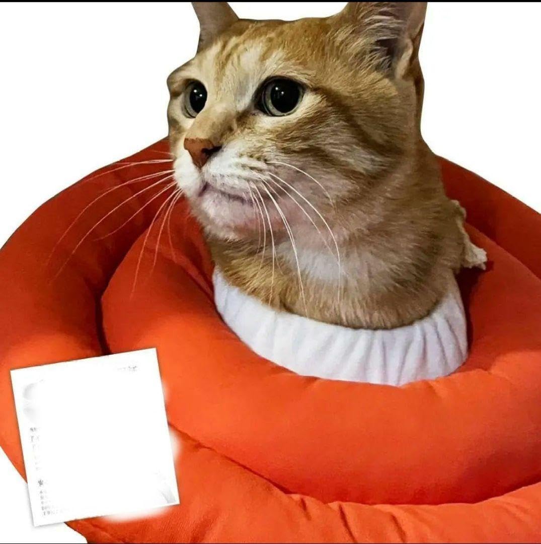 エリザベスカラー 猫 犬 引っ掻き防止 S 調整可能 術後 傷口保護 ペット