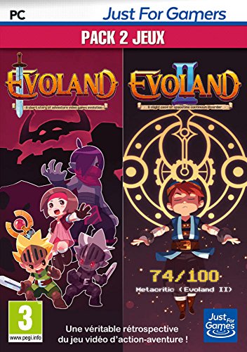 Evoland 1 & 2 Pc Mac - vue 2