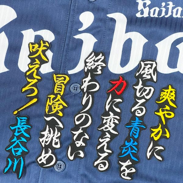 Amazon.co.jp: 西武 ライオンズ 刺繍ワッペン 長谷川 信哉 応援歌 黒布
