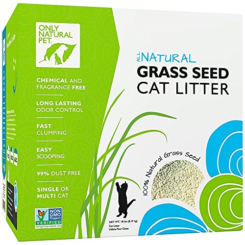 Best Grass Cat Litter in 2022 (with Reviews!)