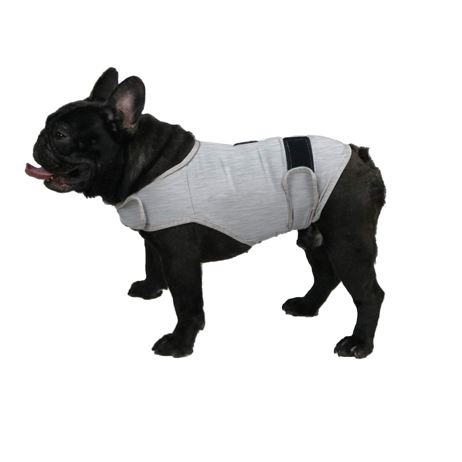 Comfort Dog Anxiety Relief Coat, Dog Anxiety Calming Vest Wrap for Thunderstorm,Travel,4th of July Fireworks,Vet Visits,Separation Anxiety Relief for Dogs (Medium (Pack of 1), Light Gray)