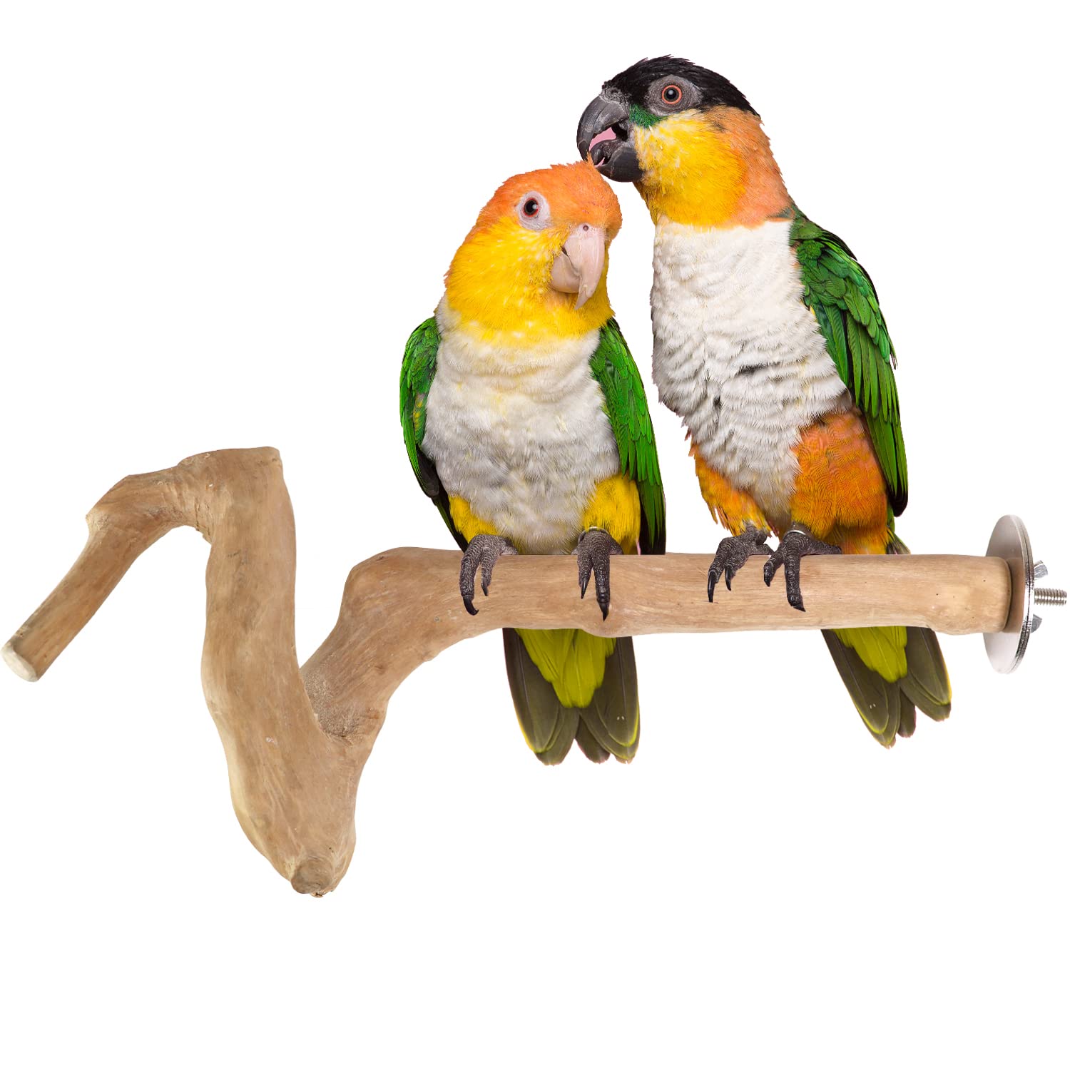 Birds Stand Java wood small Parrot small Birds Cocktiel Love birds Subn Conures Wood Perch Natural Indonesian Wooden Tree branch Cage Accessories Single stick (Style 4) (Style 8)