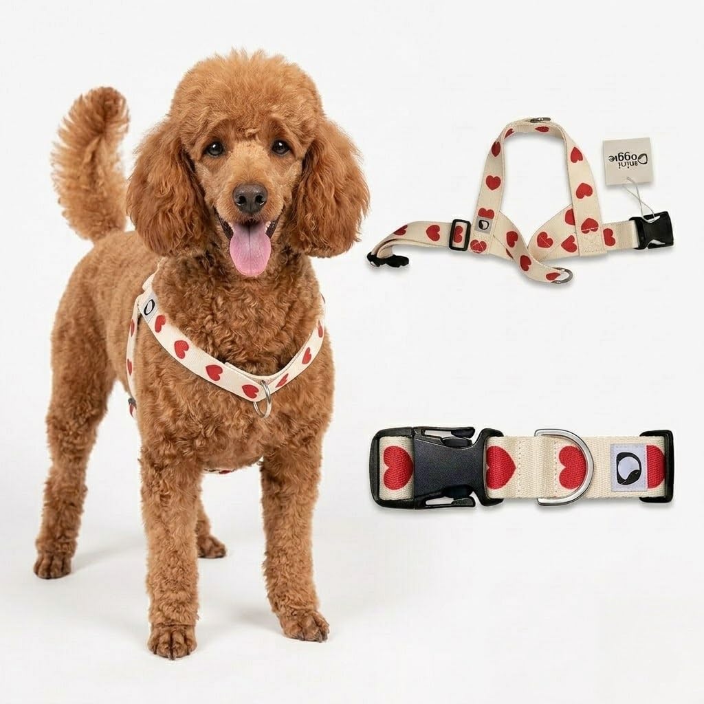 Photo 1 of MiniDoggie Heart Small Dog Harness – Soft Webbing, Front & Back Clip, No-Pull Design, Lightweight (Ivory, Medium)