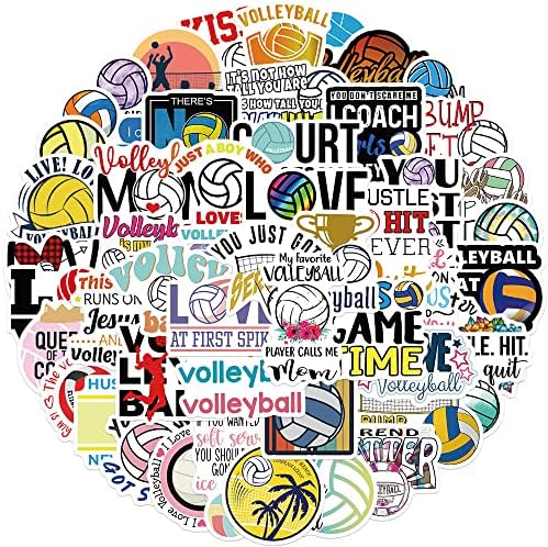 The Vinyl Girl At Your School Starter Pack : R/starterpacks