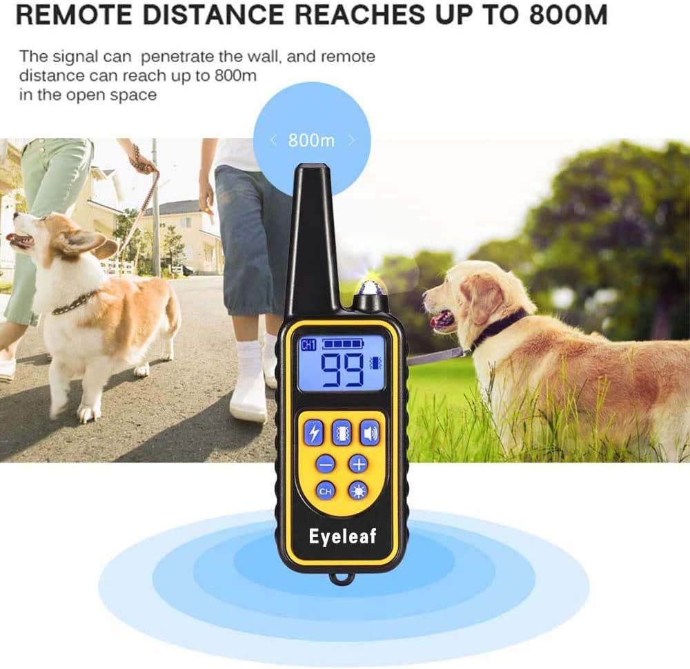 Collier de dressage, télécommande et accessoires