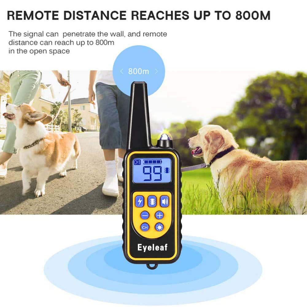 Collier de Dressage pour Chien avec bip/Vibration/Choc, étanche et Rechargeable, télécommande, portée de 800 mètres