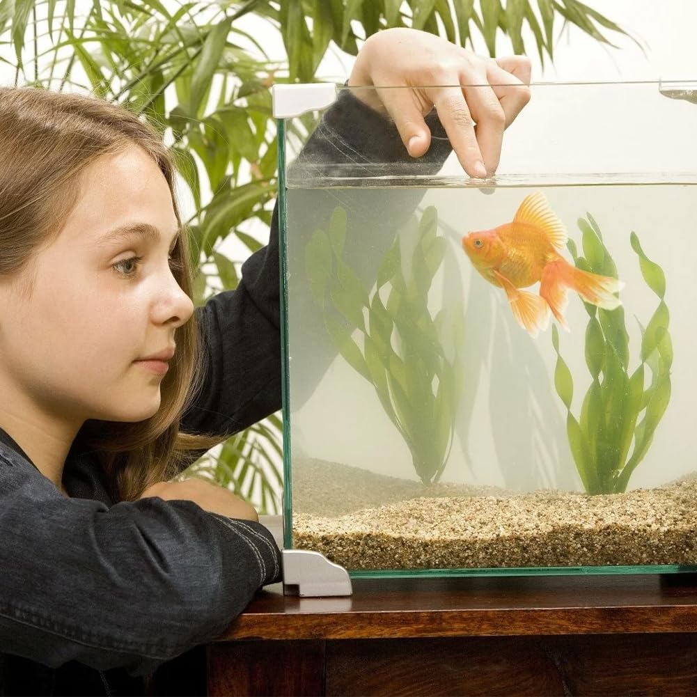 Aquarium Futternapf,Aquarium Futterschale,3 Stück Aquarium Garnelen Feeder,Fisch Garnelen Futternapf,Acryl Klar Garnelen Futternapf Tank Futternäpfe Mit Saugnapf,Futterschale Für Garnelen Im Aquarium