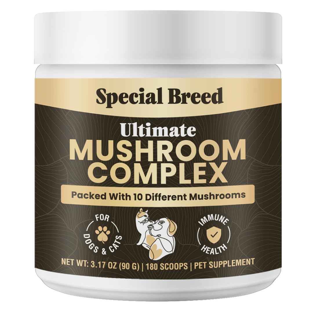 Mushroom Powder for Dogs & Cats - Organic Mushroom Complex for Immune Support, Cognition, Vitality - Ten Mushroom Supplement with Turkey Tail, Lion's