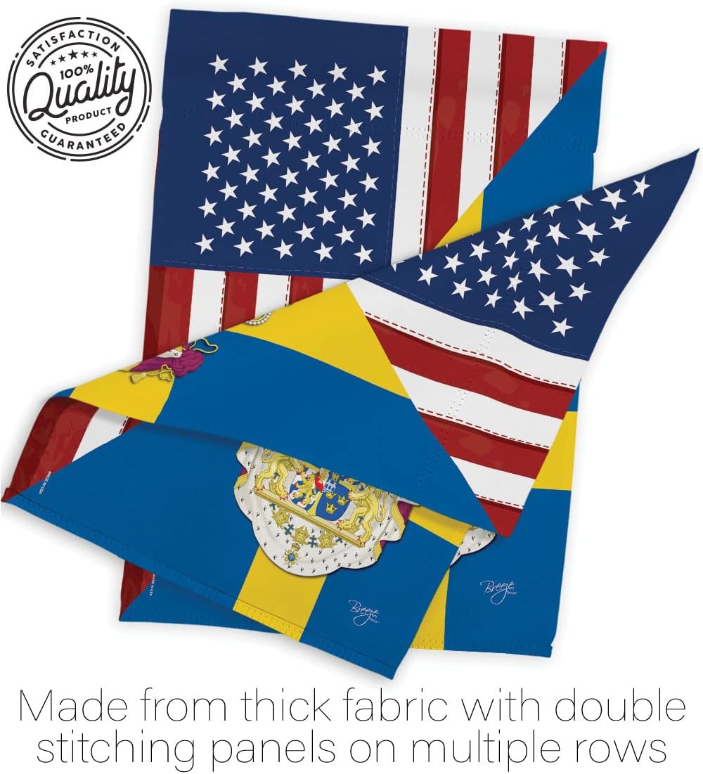 Breeze Decor FS-G-108385-IP Regional American Alliance World Country Particular Area US Sweden Friendship, Made in USA