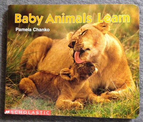 Baby Animals Learn 0439155185 Book Cover
