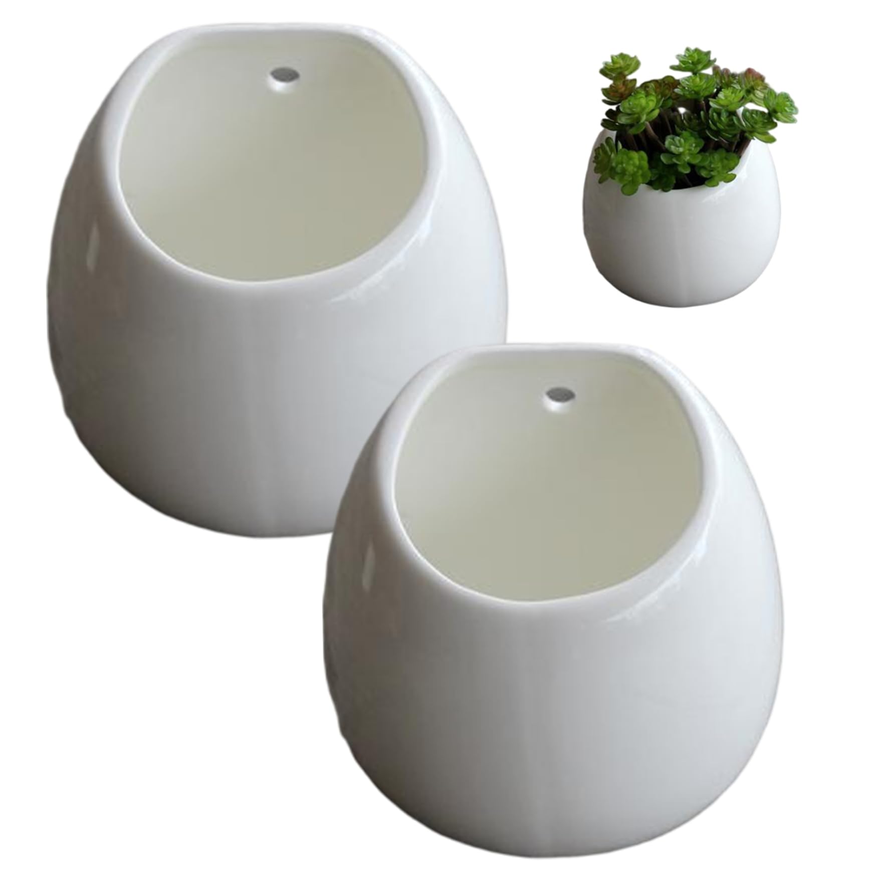 Pots de fleurs muraux céramique blanche suspension plante grasse décoration intérieur