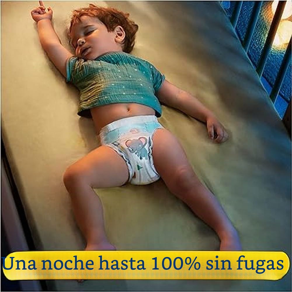 Pampers Pañales tamaño 4+ (10 – 15 kg) Baby Dry, Maxi Plus, caja de meses, hasta 12 horas de protección total contra fugas, 198 unidades