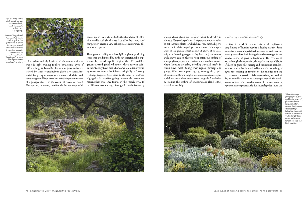 Bringing the Mediterranean into Your Garden: How to capture the natural beauty of the garrigue