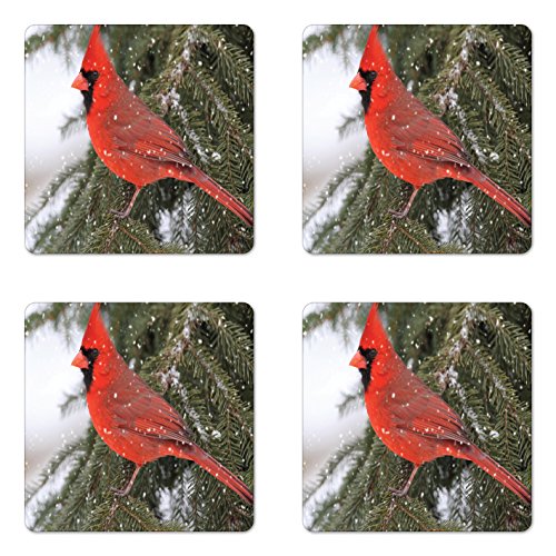 Lunarable Cardinal Coaster Set of 4, Northern Cardinal Bird Standing on a Pine Tree Branch in Winter Season, Square Hardboard Gloss Coasters, Standard Size, Fern Green