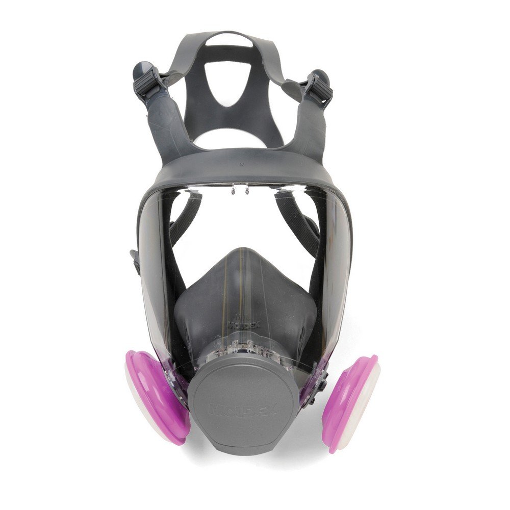 Amazon.com: Moldex M9003L 9000 Series Reusable Full Face
