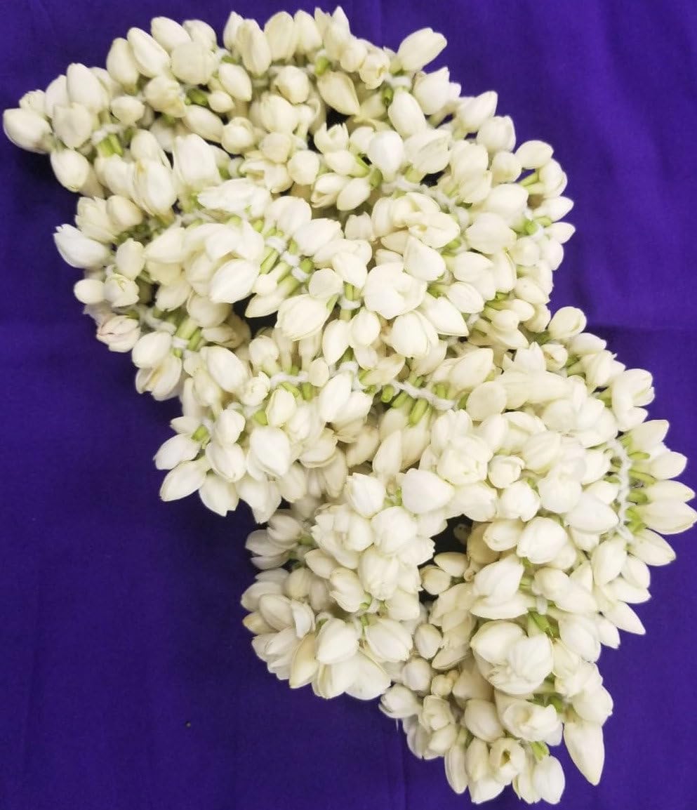swathi Fresh Jasmine/Mullai Flower Approx 40cm Indian Malli Poo for Puja, Wedding and Decoration Long Lasting Aroma and Soft Petals