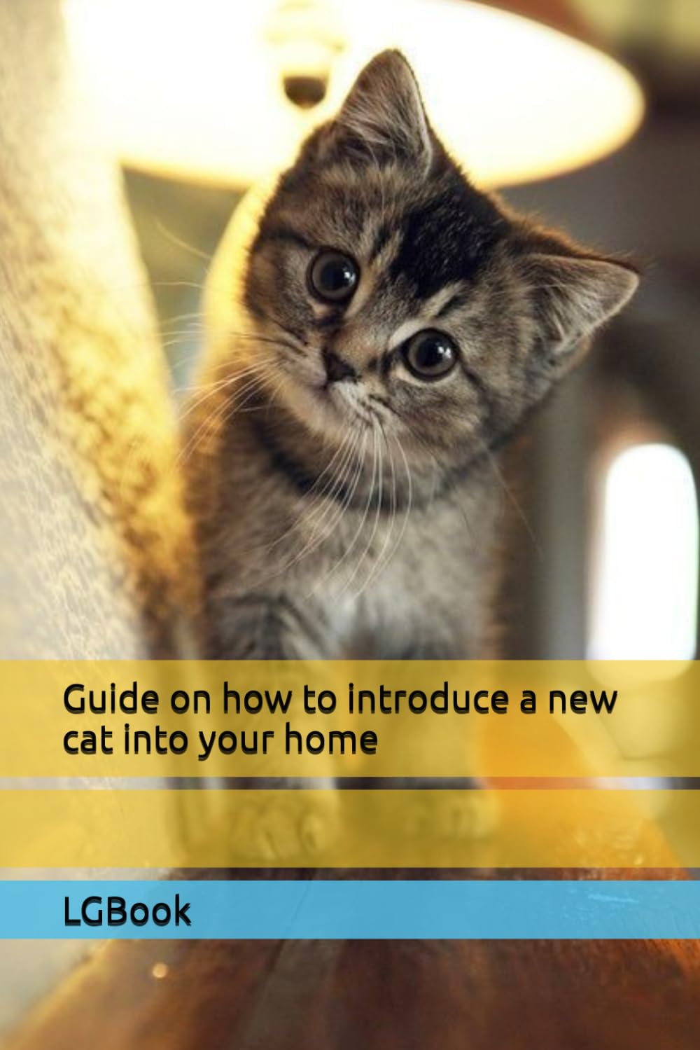 Guide on how to introduce a new cat into your home
