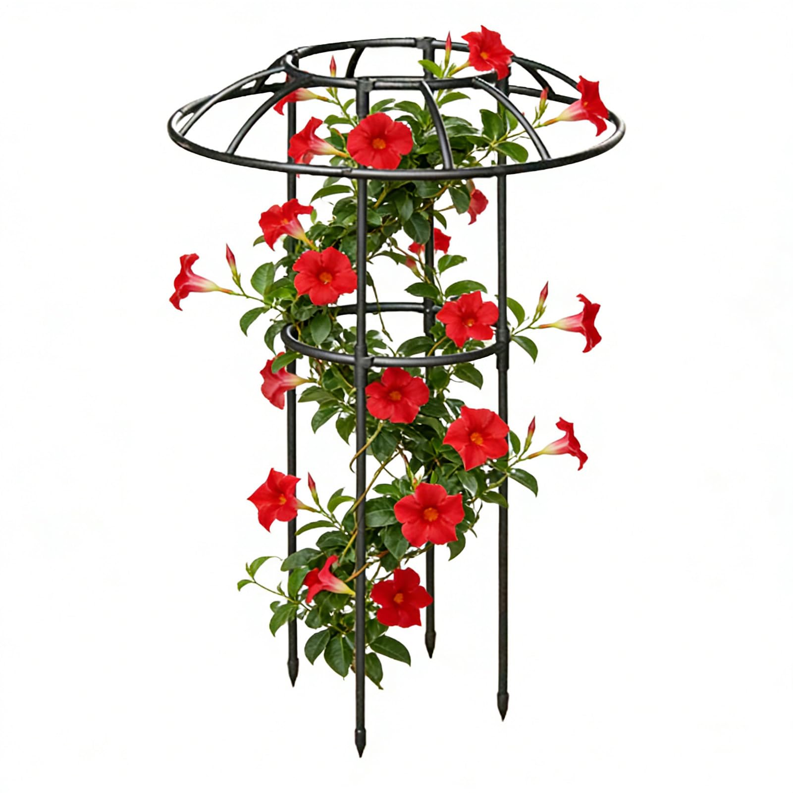 Treillis de jardin parasol résistant aux intempéries pour tuteurer la clématite et le dragon