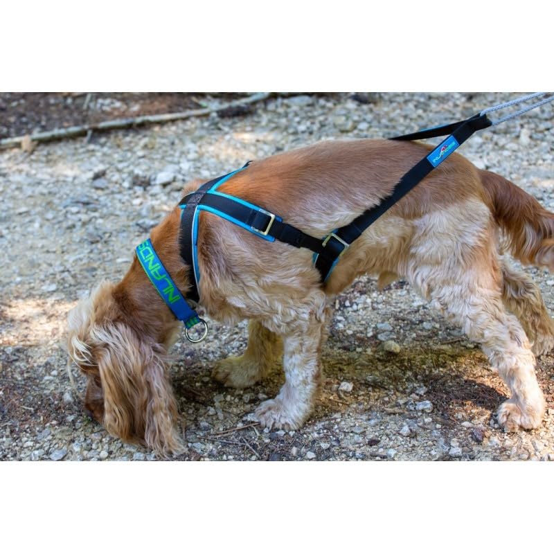 Inlandsis Canicross Geschirr für kleine Hunde, Open-Back