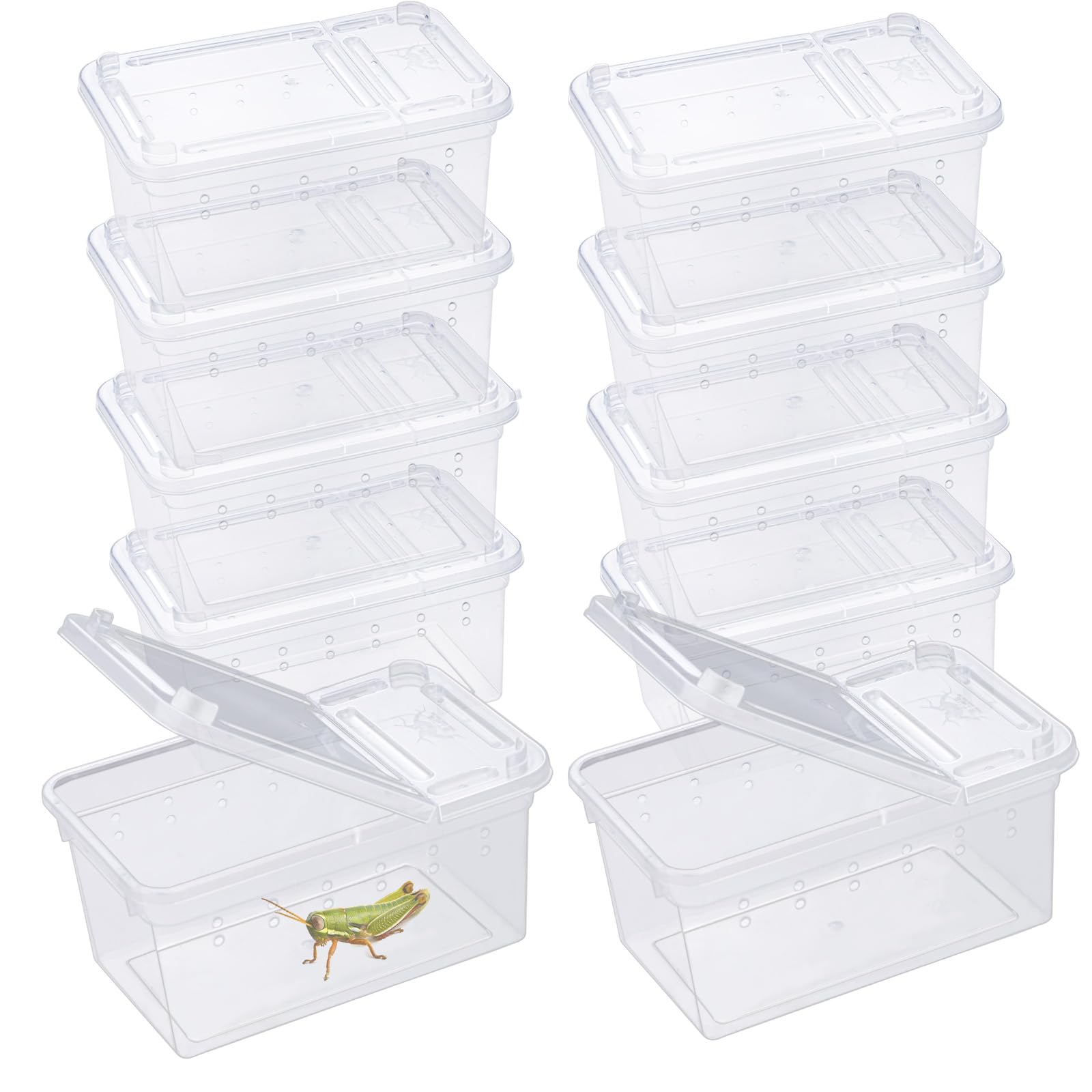 Boîte à nourriture pour reptiles, transparente, habitat animalier, cage, araignée, terrarium, boîte à couver en plastique pour reptiles, tortue, araignée, grenouille, scorpion, serpent (11 x 7 x 5,5