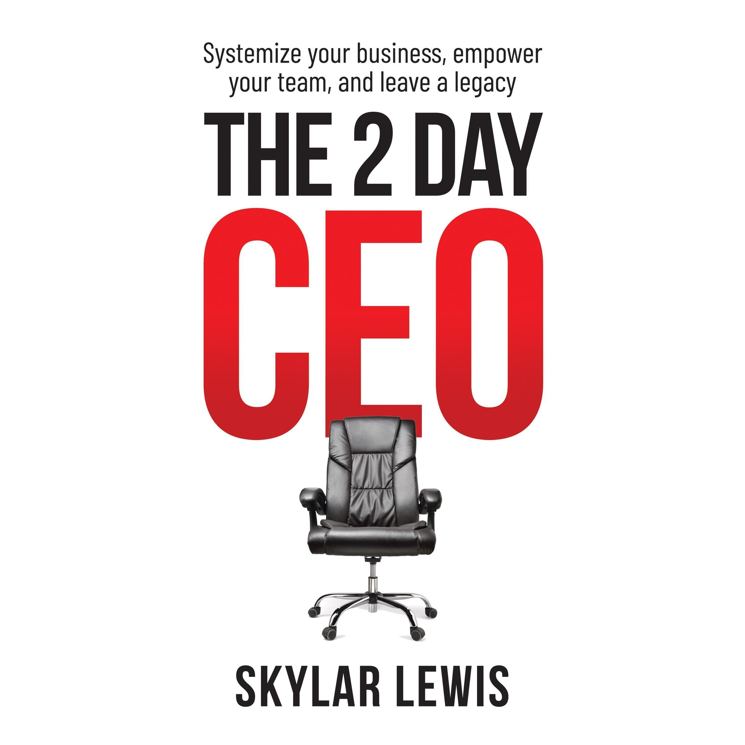 Cover art for The 2-Day CEO