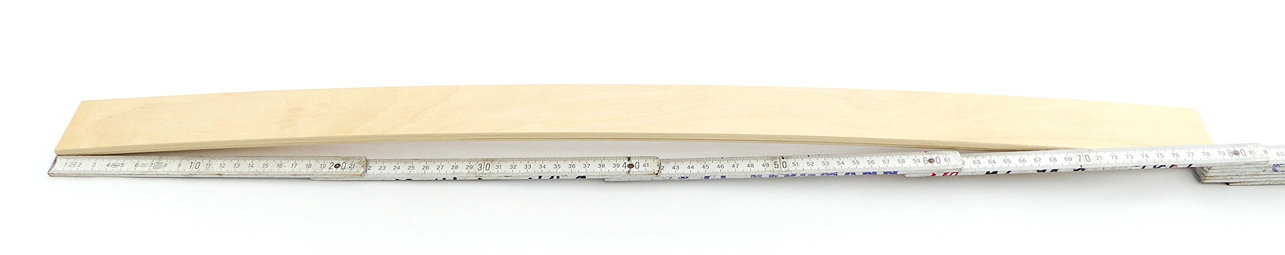 Set: Federholzleisten (8x50mm) + Befestigungs Kappen zur Selbstmontage für Futon, Bett oder Caravan | Stärke/Höhe 8mm x Breite 50mm (20 Kappen + 10 Leisten (Länge 837mm))
