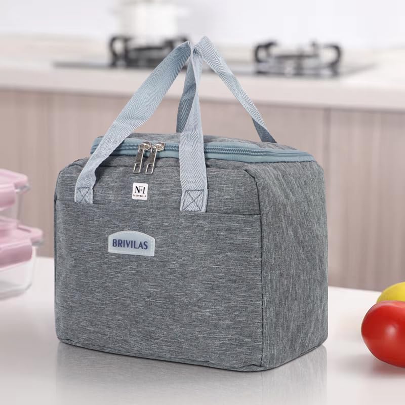 Image of NFI essentials Insulated Lunch Bag for Men Women Large Tiffin Carry Bag Travel Lunch Box Organizer for Office, School, College, Leak-Proof Lunch Cooler Bag (Grey)