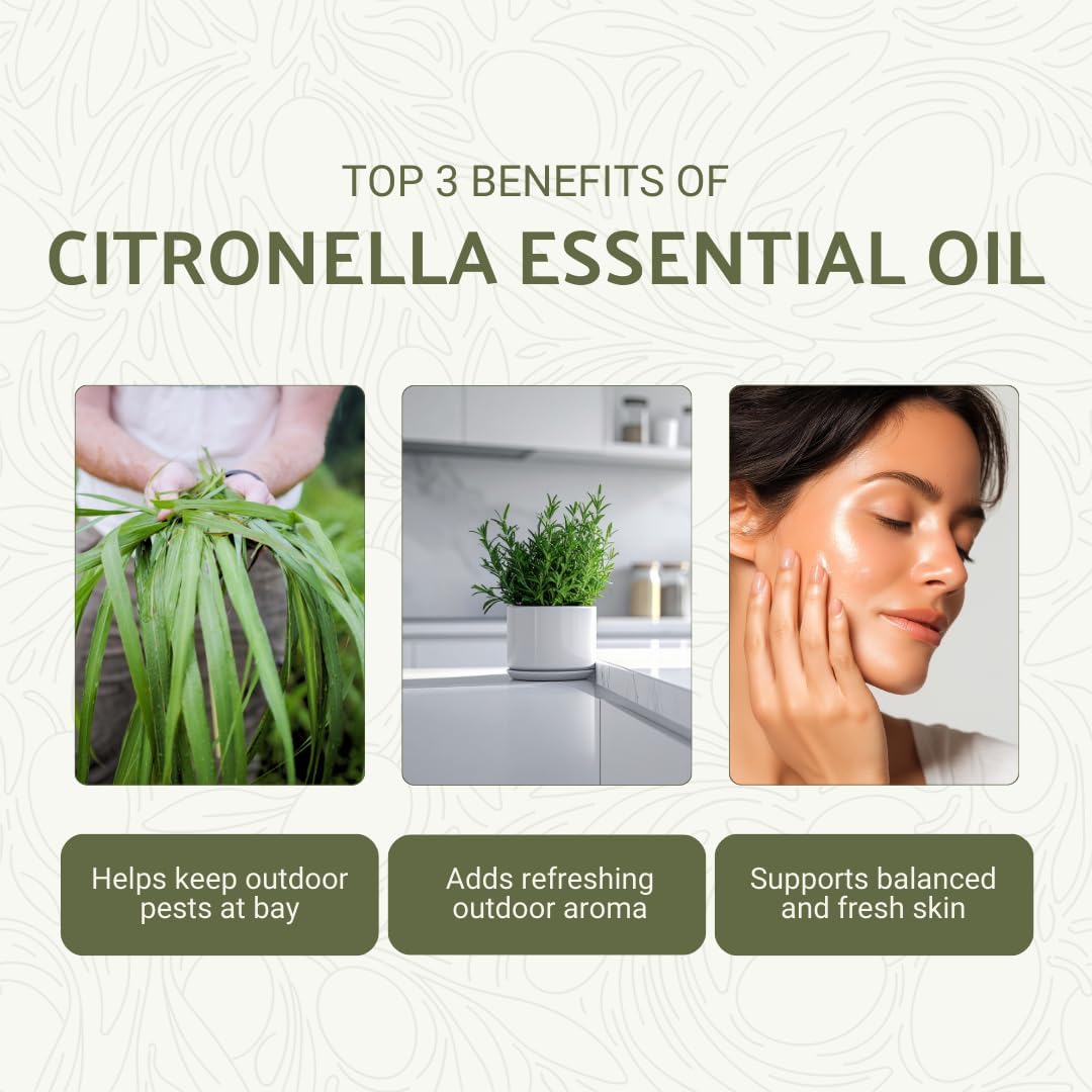 Citronella Essential Oil - Direct from Central Java, Indonesia - Pure Essential Oil for Diffusers and Aromatherapy | 100% Pure Therapeutic Grade (8oz)