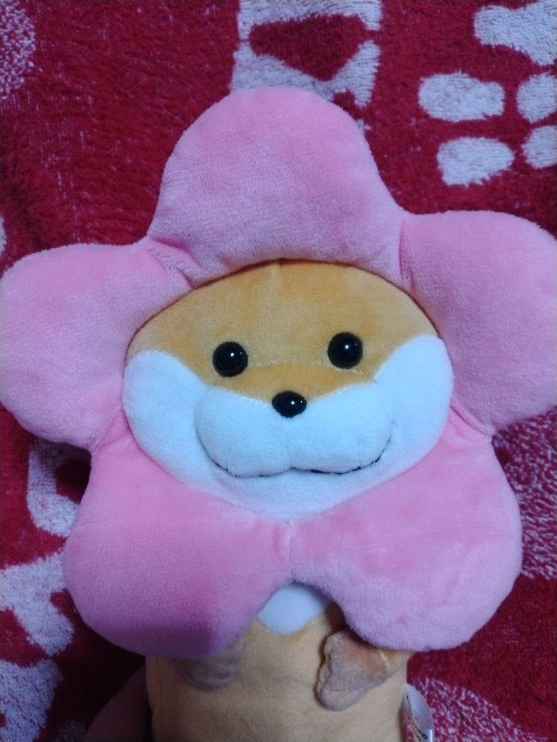 Amazon.co.jp: 可愛い嘘のカワウソ ぬんちゃん ぬいぐるみ 7M