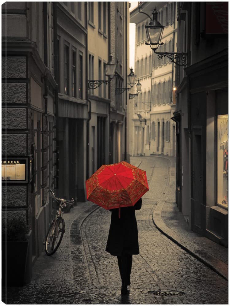 Fine Art Canvas Red Rain Canvas Wall Decor by Artist Stefano Corso for Living Room Bedroom Bathroom Kitchen