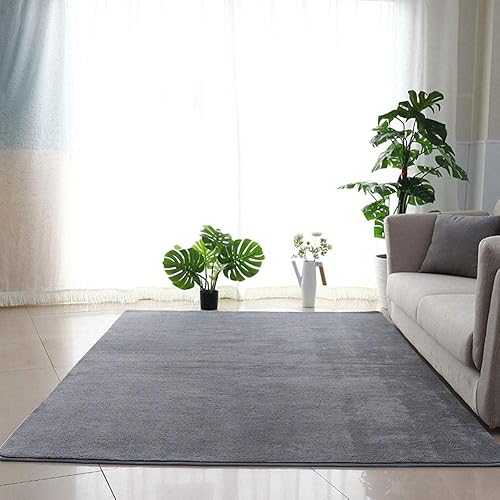 SXGCH Alfombra esponjosa, suave y agradable a la piel, alfombra de pelo corto para sala de estar, gris oscuro, 80 x 160 pulgadas, lindas alfombras SXGCH Alfombra esponjosa, suave y agradable a la piel, alfombra de pelo corto para sala de estar, gris oscuro, 80 x 160 pulgadas, lindas alfombras