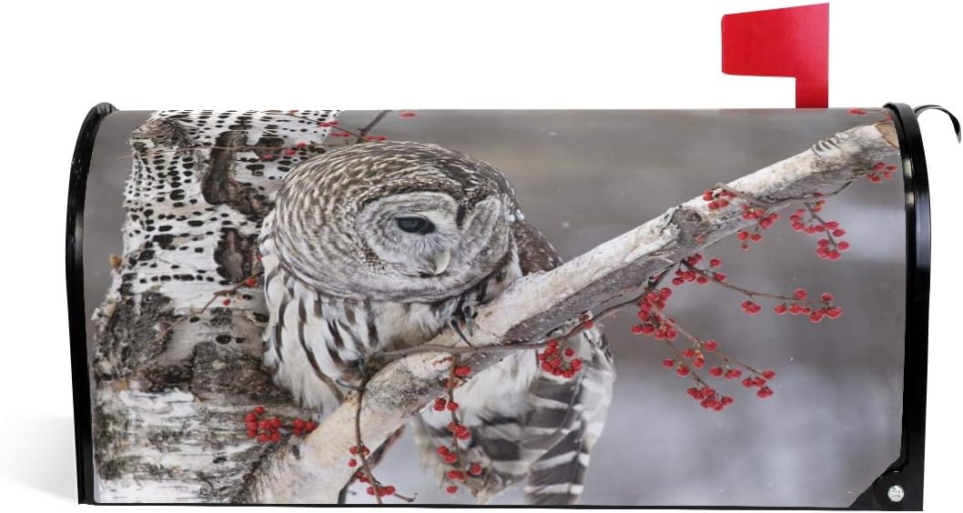 ZZKKO Magnetic Mailbox Covers Lovely Barred Owl Letter Box Cover Colorful Painting Graden Outdoor Decorations,25.5x20.8 Inch Large Size,Multicolor