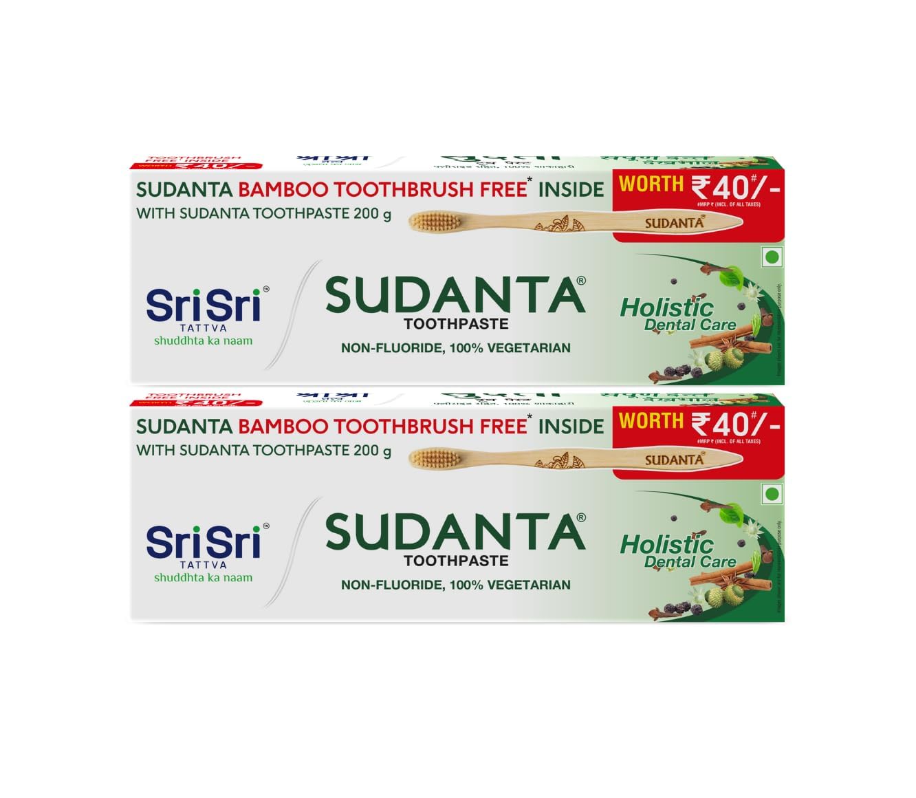 Sri Sri Tattva Shuddhta Ayurvedic Herbal Toothpaste with Bamboo Toothbrush, 200G, Pack of 2