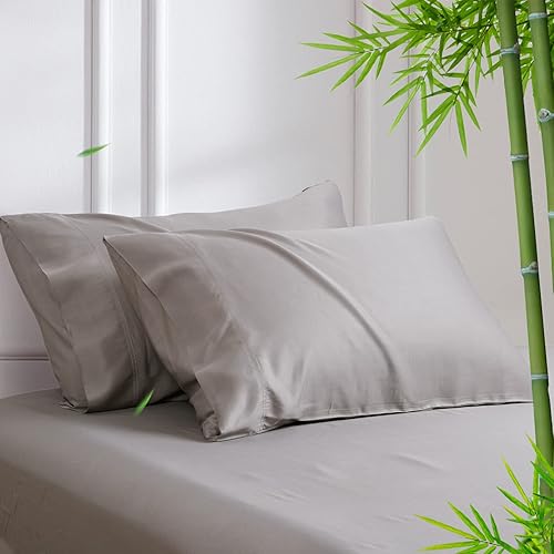 David's Home Paquete de 2 fundas de almohada refrescantes de verano, fundas de almohada de tamaño Queen, sedosas, suaves, transpirables, para