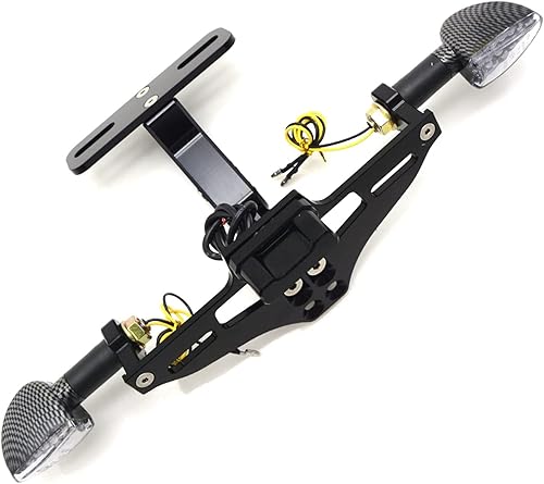 Marco de matrícula de motocicleta con indicador LED, soporte de luz indicadora para Kawasaki para Ninja 250 300 650 para H2R para ZX6R Z750 Z800