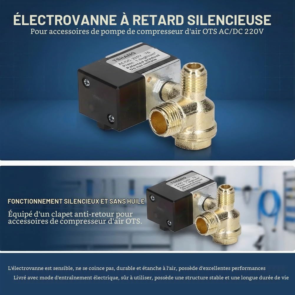 Électrovanne électrique AC/DC 220V, avec Clapet Anti-retour, électrovanne Silencieuse pour Accessoires de Pompe de Compresseur D'air OTS