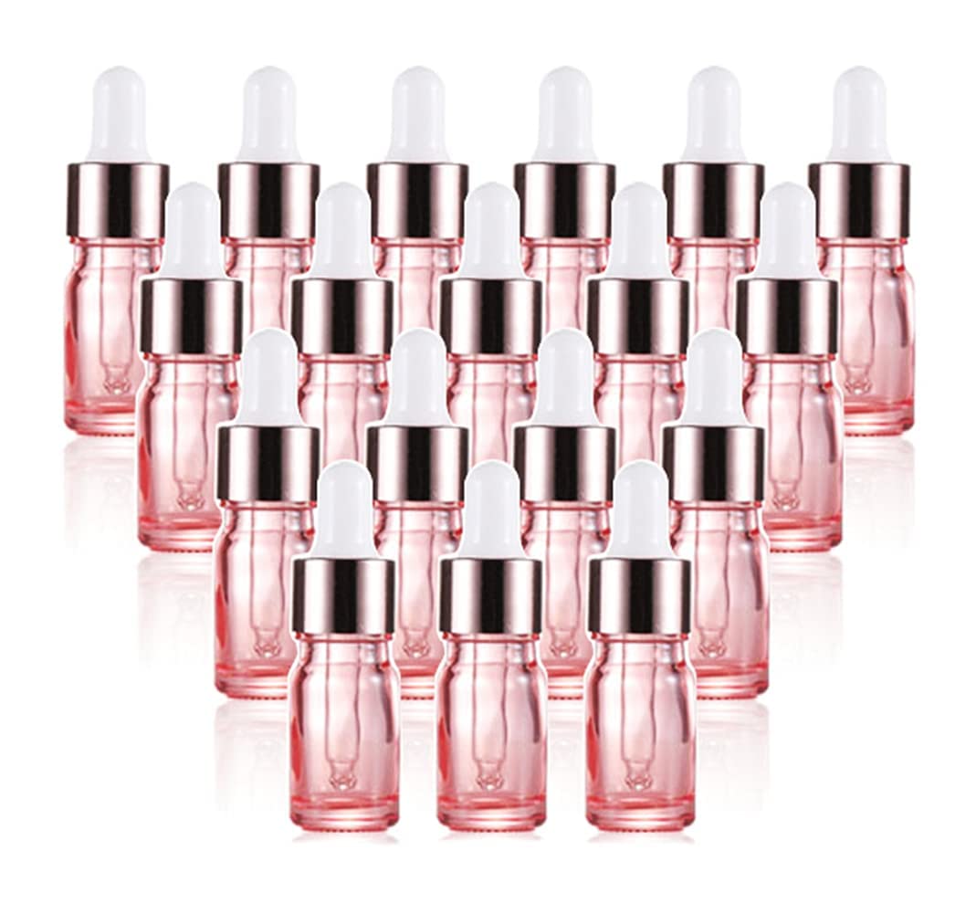 MAKINGTEC Glass Dropper Bottle for Essential Oils, 18 Pack Empty Glass Eye Dropper Bottle Holder With Glass Pipette and Caps, Cosmetic Perfume Sample Vial Container Pipette (5ml Pink)