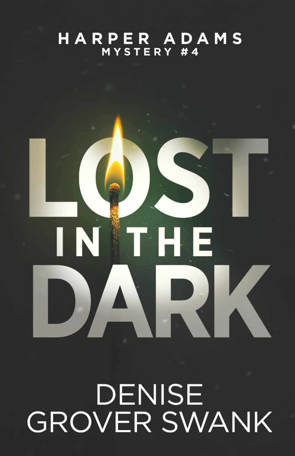 Lost in the Dark (Harper Adams Mystery)