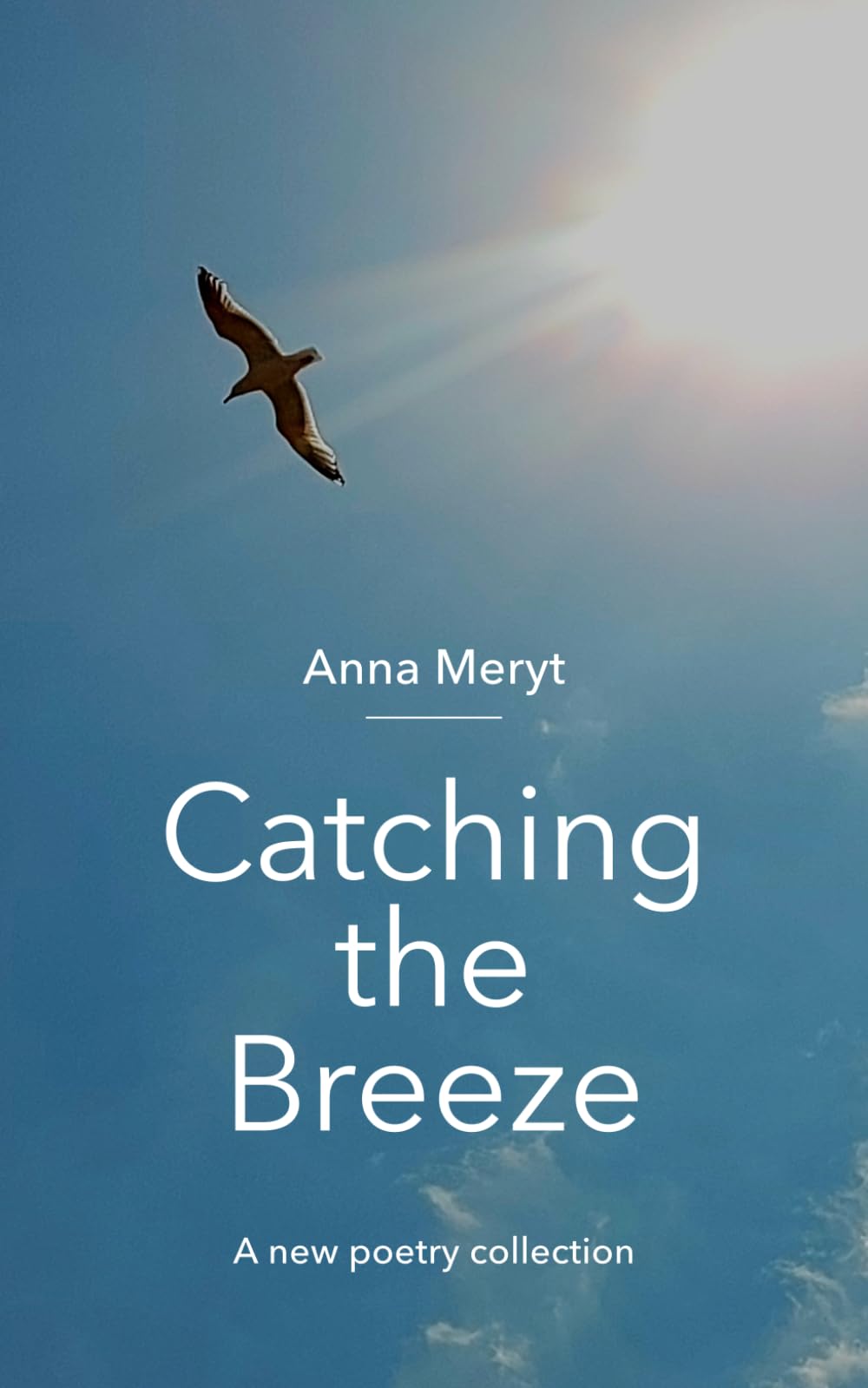 Catching the Breeze: A poetry collection