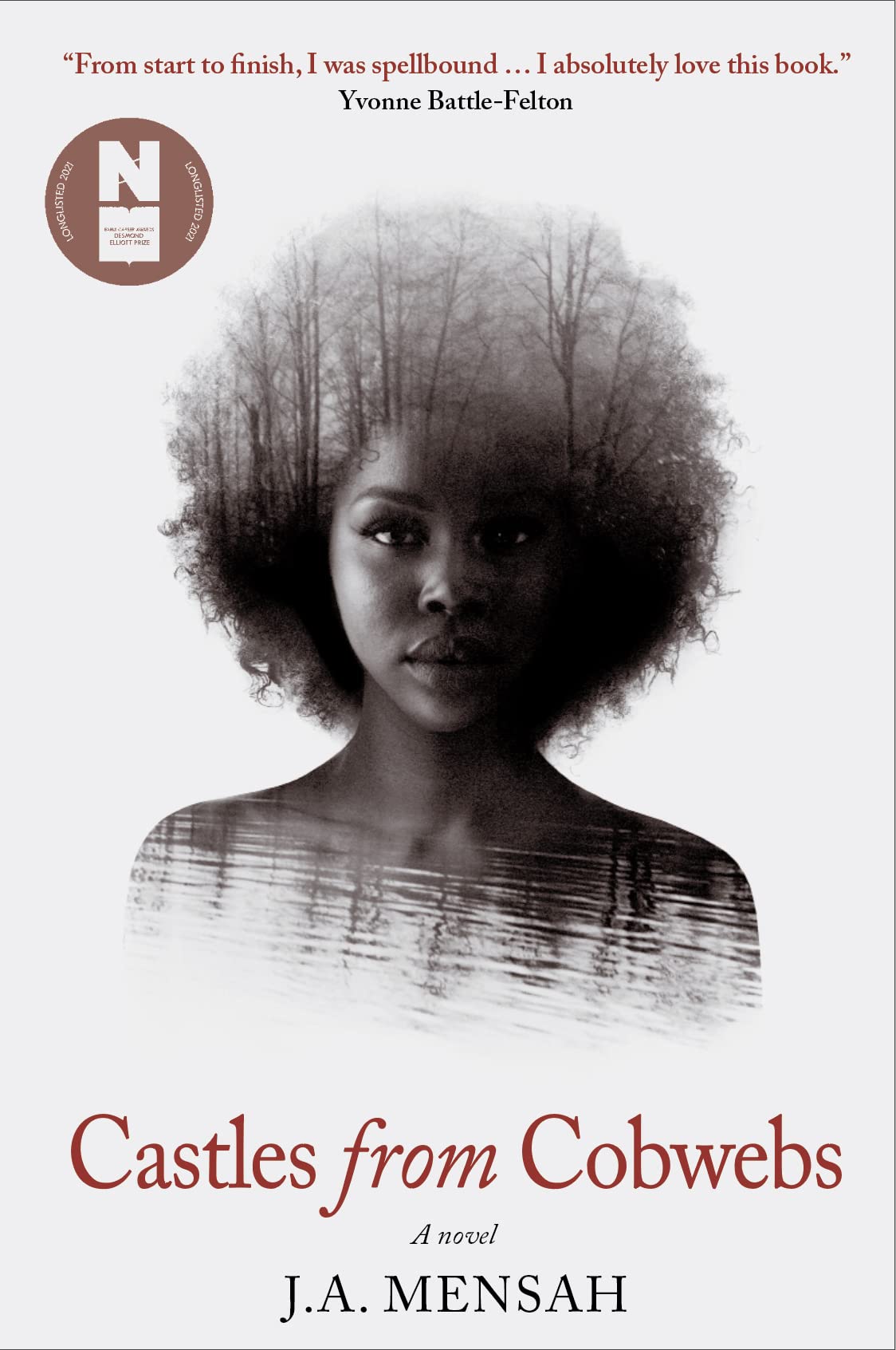 Castles from Cobwebs : Longlisted for the Desmond Elliott Prize