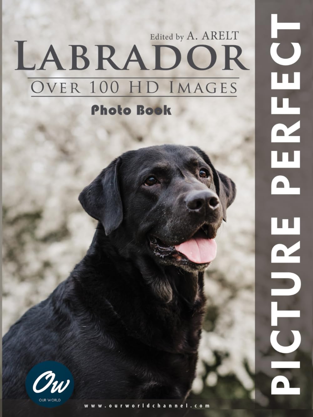 Labrador: Picture Perfect Photo Book