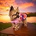 BABY PINK Handmade Peruvian Dog Sweater. Zip up the back design makes it easy to put on. Sizes for dogs 1.5 lbs to 40 lbs. (6 (12-16 lbs))